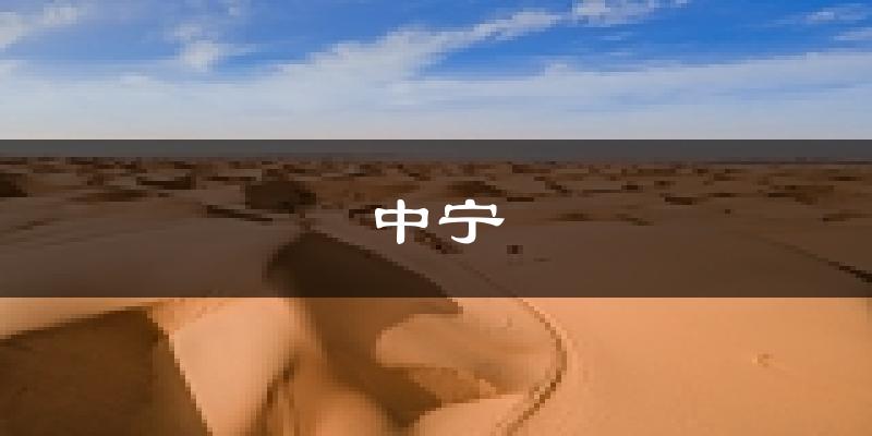 中宁天气预报未来一周