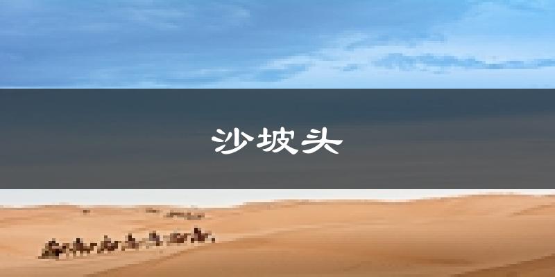 中卫沙坡头天气预报未来一周