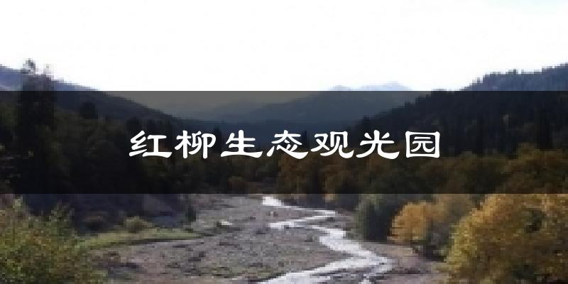 红柳生态观光园今日天气