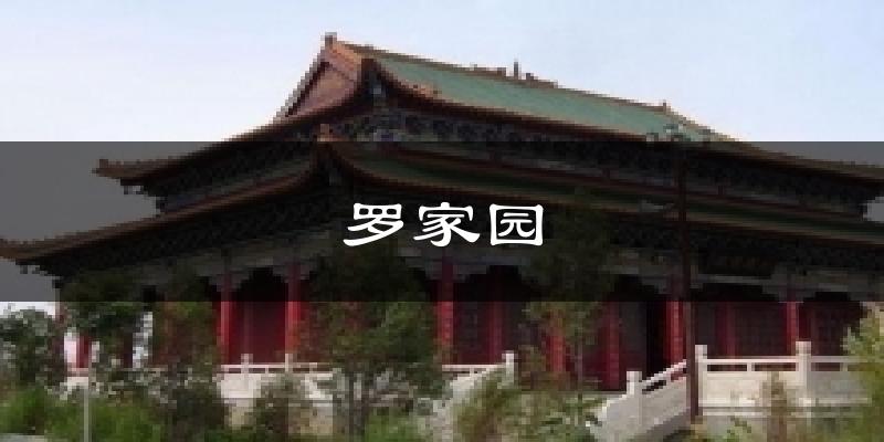 罗家园今日天气