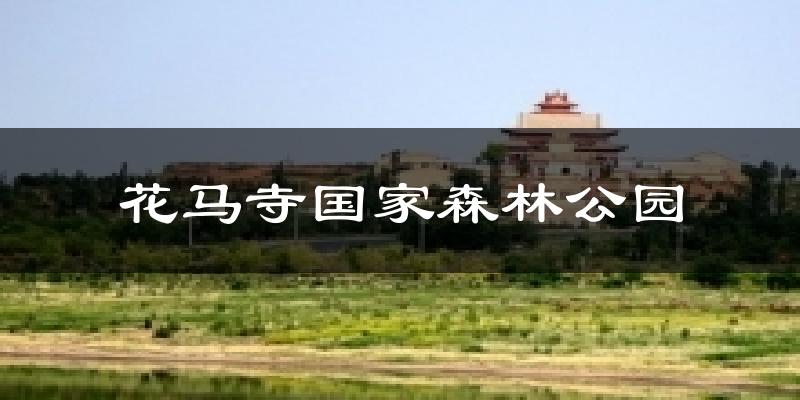 花马寺国家森林公园今日天气