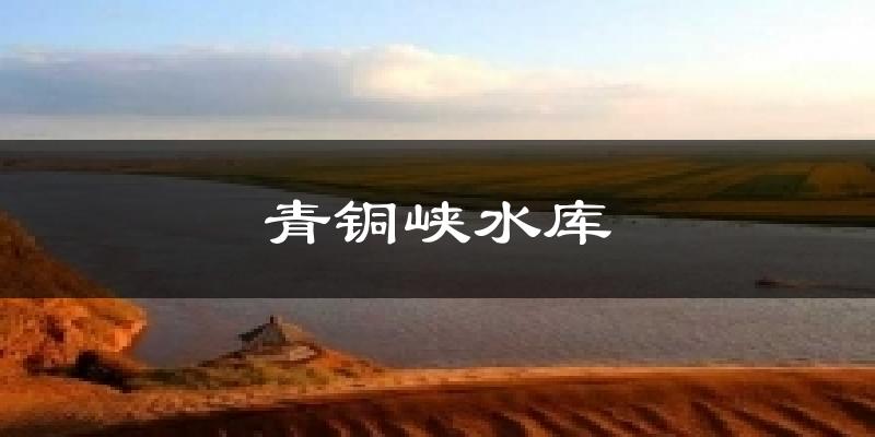 青铜峡水库今日天气