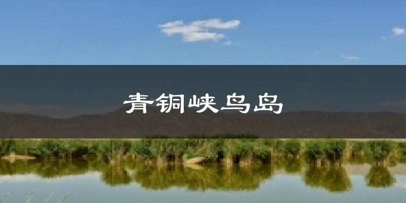 青铜峡鸟岛今日天气